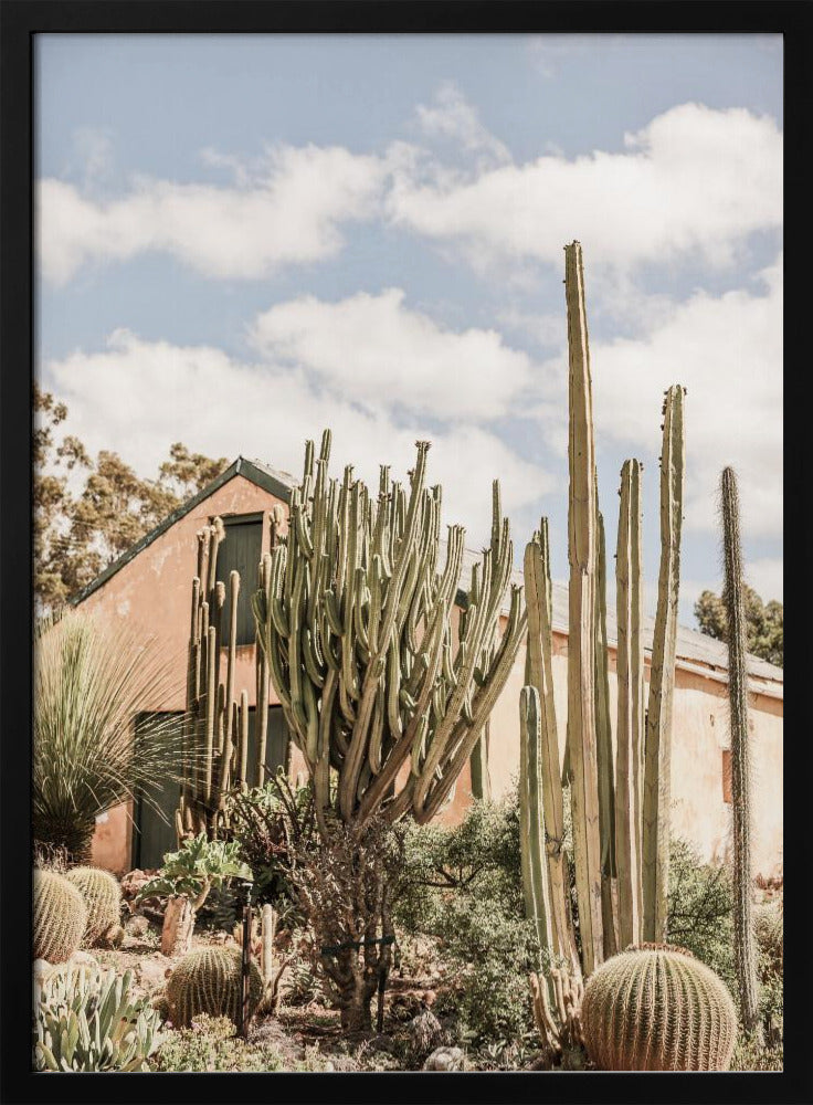 Karoo Garden Poster