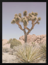 Mojave Desert Poster