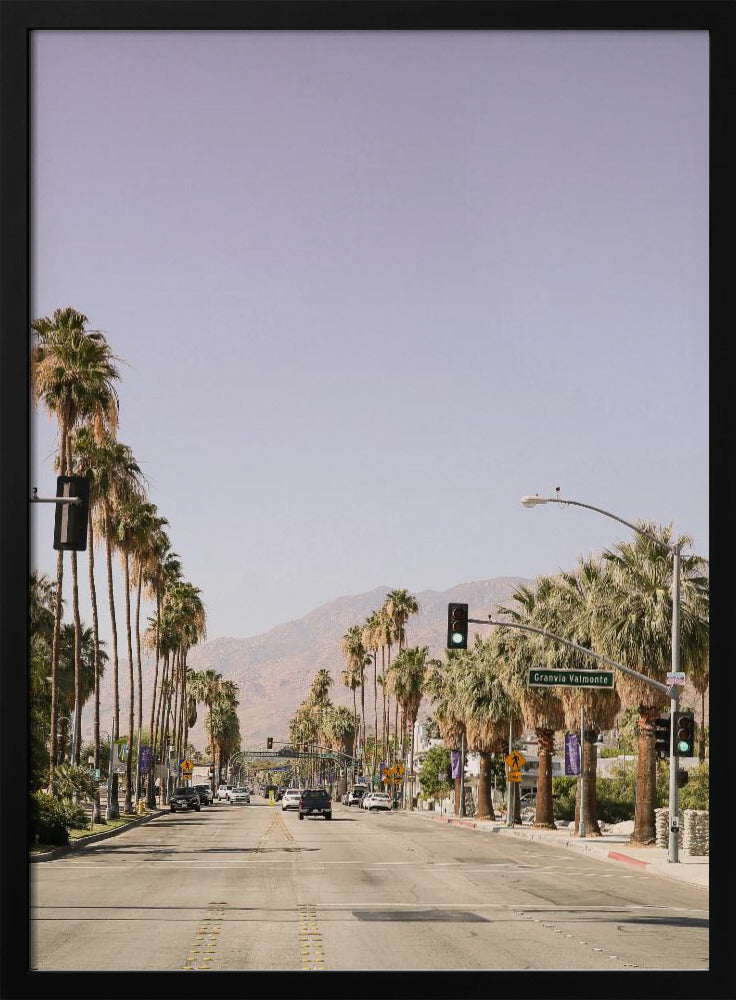 Palm Spring Poster