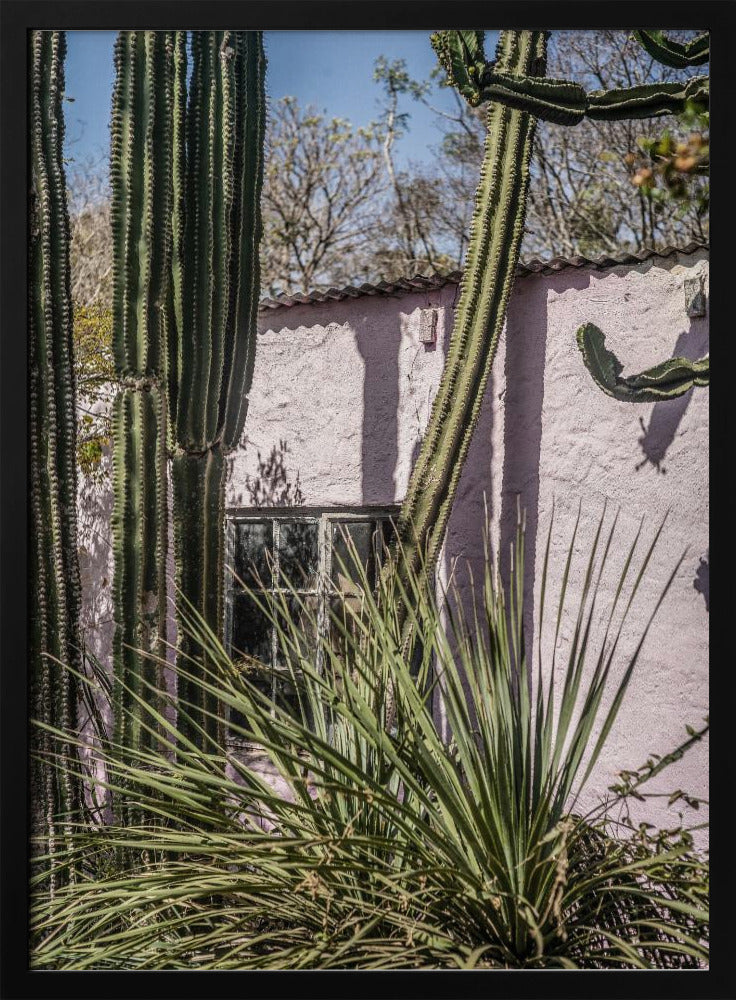 Plants On Pink Poster