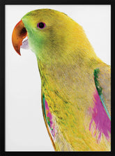 Polly Poster