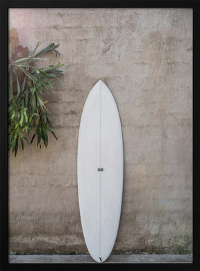 Safari Twinfin Poster