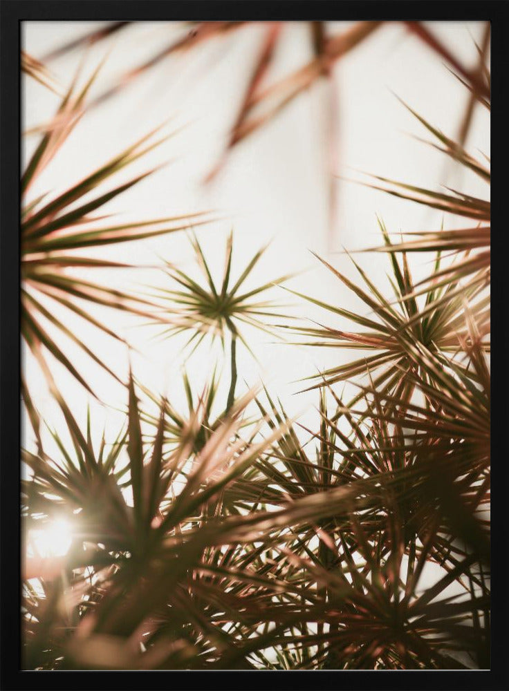 Starlight Palm Tree Poster