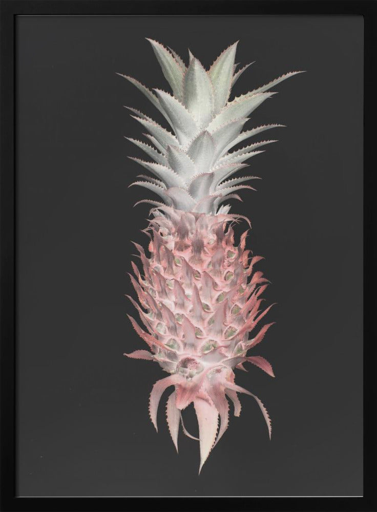 Strawberry Pine Poster