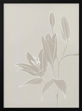 Line art lillies in white Poster