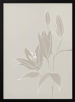 Line art lillies in white Poster