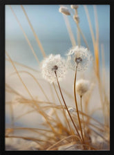 Beach Impressions No 3 Poster