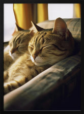 Resting Van Cats Poster