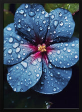 Blue Lagoon Flower Poster