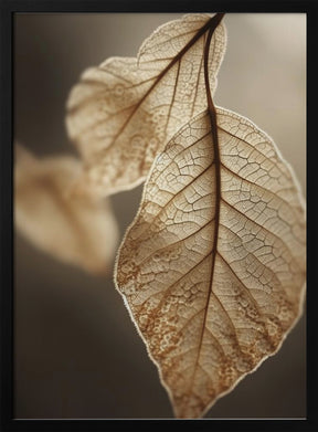 Leaf Macro Poster