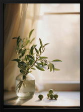 Olives By The Window Poster