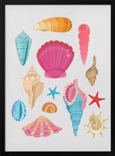 Seashells Poster