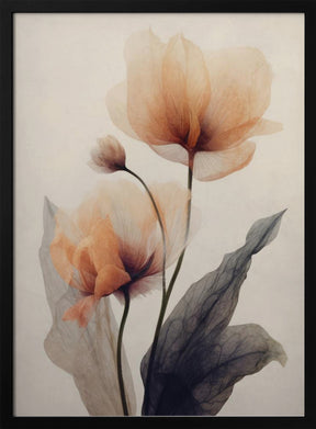 Parchment Flowers No 6 Poster