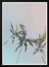 Pastel Palms Poster