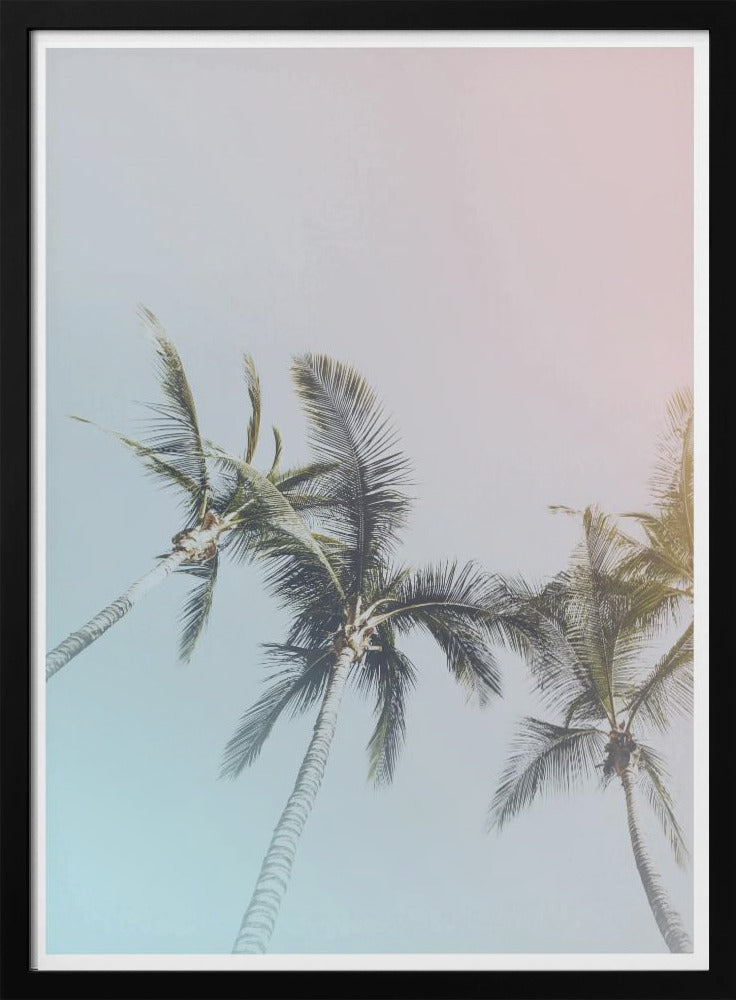 Pastel Palms Poster