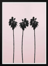 Pinky Palms Poster