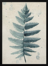 Teal watercolor fern 6 Poster