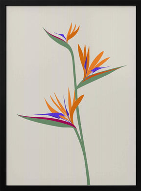 Bird of paradise Poster