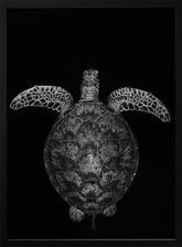 Green turtle on black and white Poster