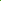 Beetroot Swirl Green Poster