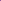 Beetroot Swirl Purple Poster