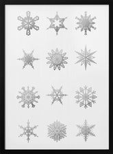 Twelve geometric snowflakes in gray Poster