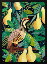 Partridge in a pear tree Poster