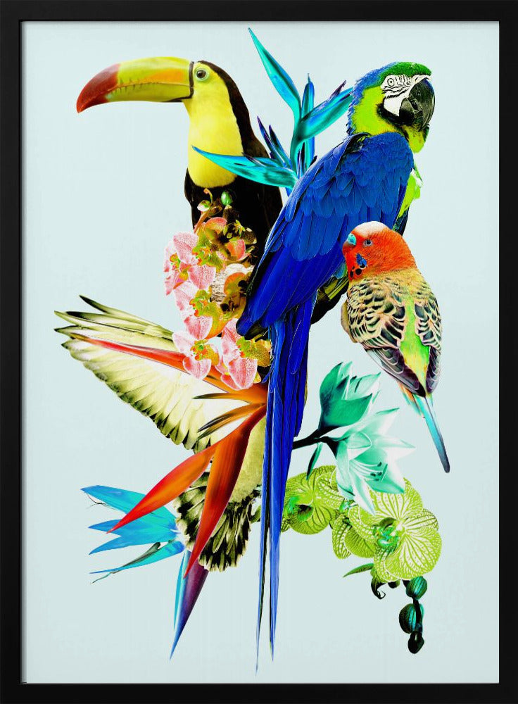 Birds of Paradise II Poster