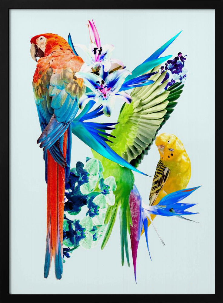 Birds of Paradise I Poster