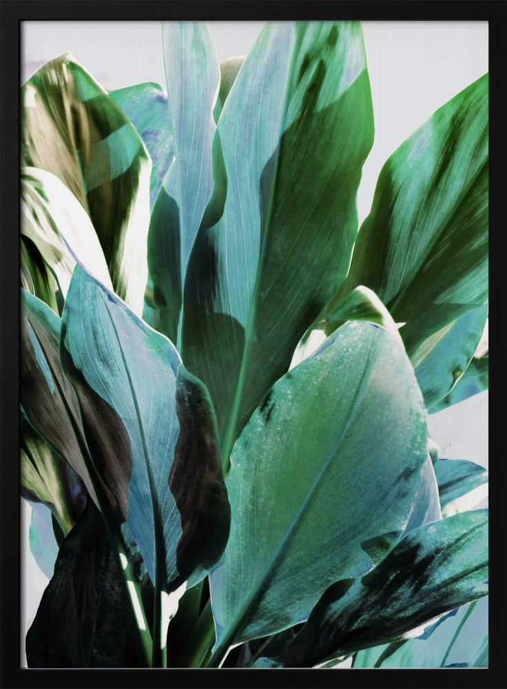 Green Leaves I Poster