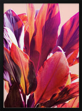 Fuchsia Leaves I Poster