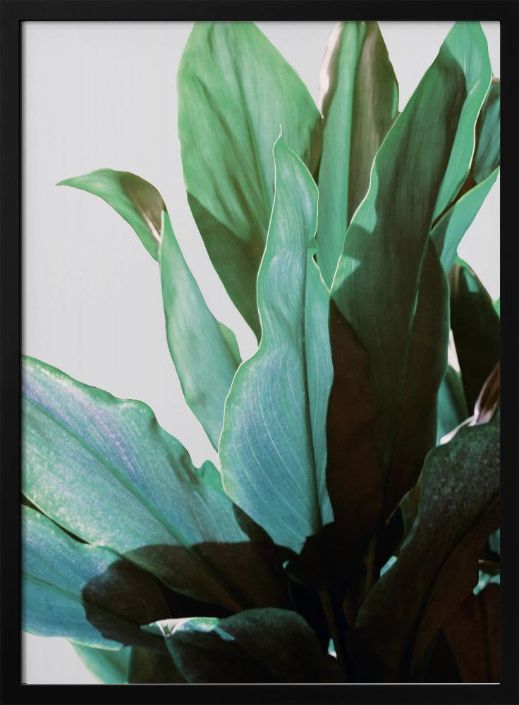 Green Leaves Poster