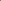 Sardines Lime Green Poster
