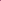 Sardines on Pink Poster