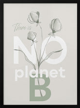 There is no planet B Poster