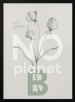 There is no planet B Poster