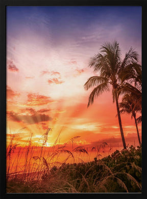 BONITA BEACH Picturesque Sunset Poster