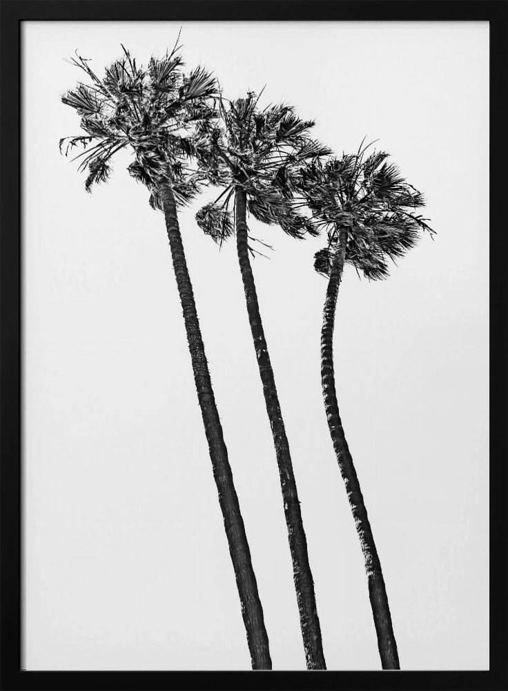 Summer idyll with palm trees Poster