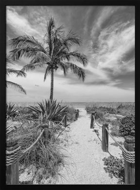 Path to the beach - monochrome Poster