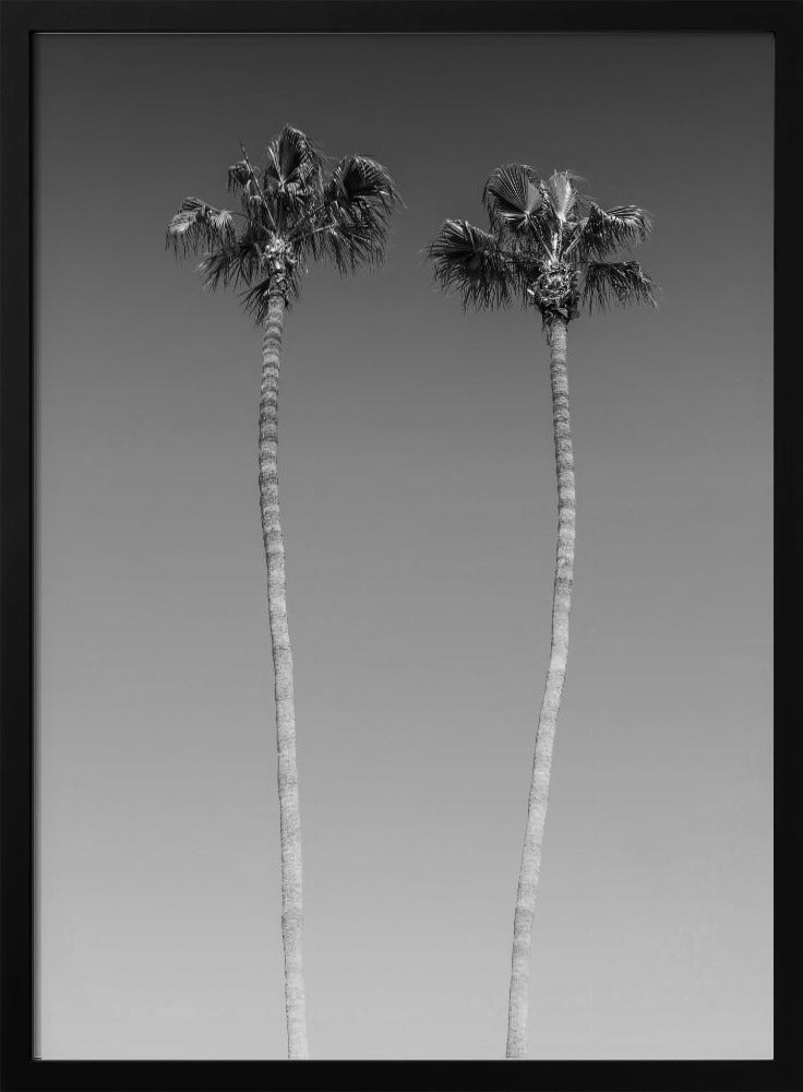 Idyllic Palm trees | Monochrome Poster