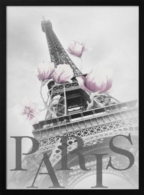 PARIS Magnolia Eiffel Tower Poster