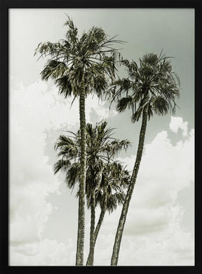 Palm Trees and sky | Vintage Poster