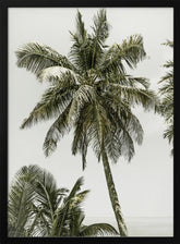 Palm Trees by the ocean | Vintage Poster