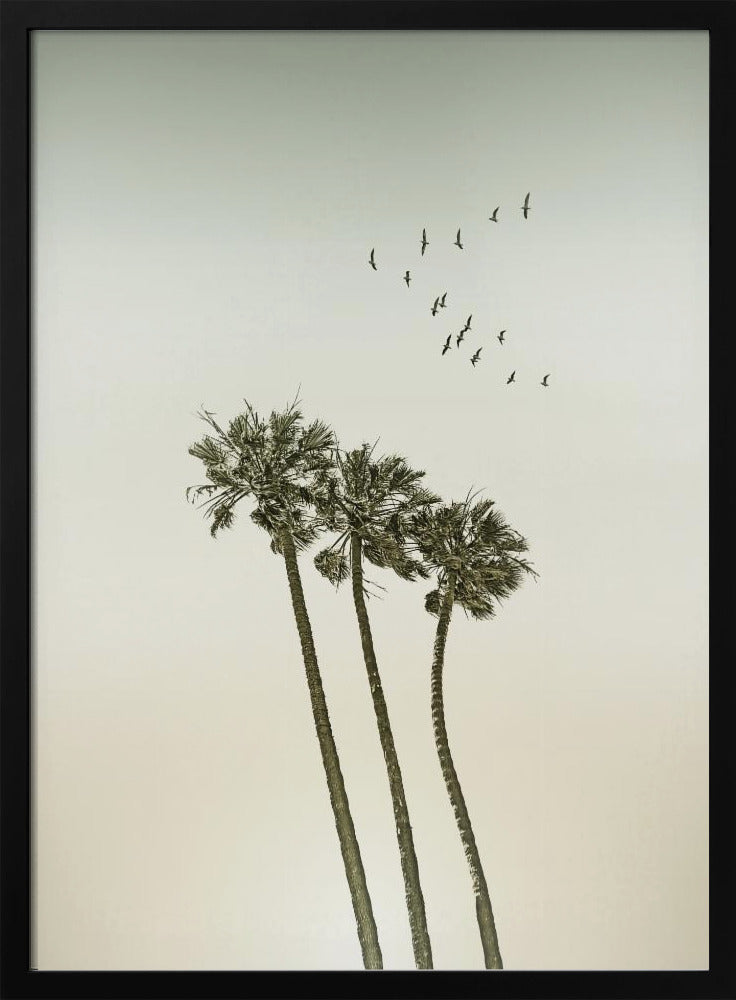 Vintage minimalist palm trees &amp; sunset Poster