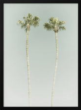 Minimalist Palm Trees Poster