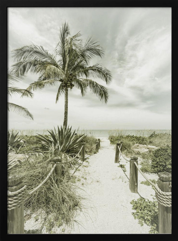 Vintage path to the beach Poster