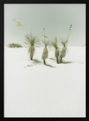 WHITE SANDS Vintage scenery Poster