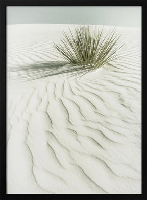 WHITE SANDS Idyllic vintage scenery Poster