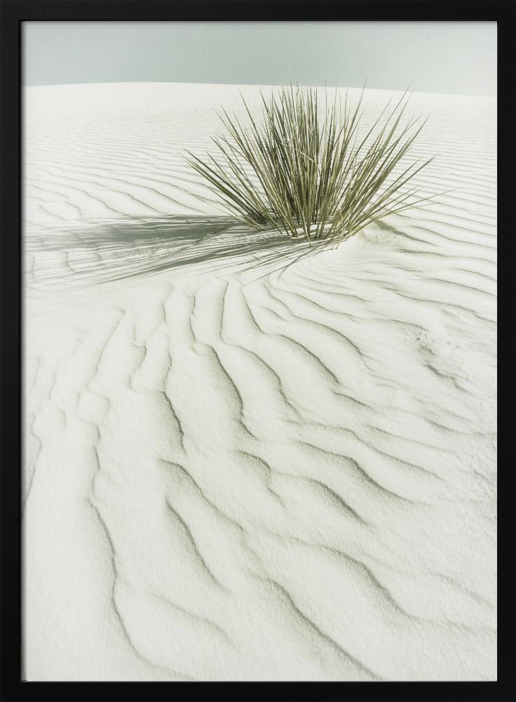 White Sands Scenery