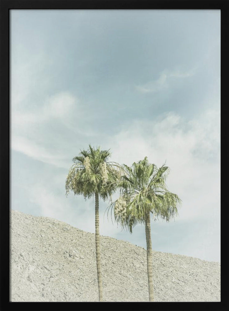 Vintage Palm Trees in the desert Poster